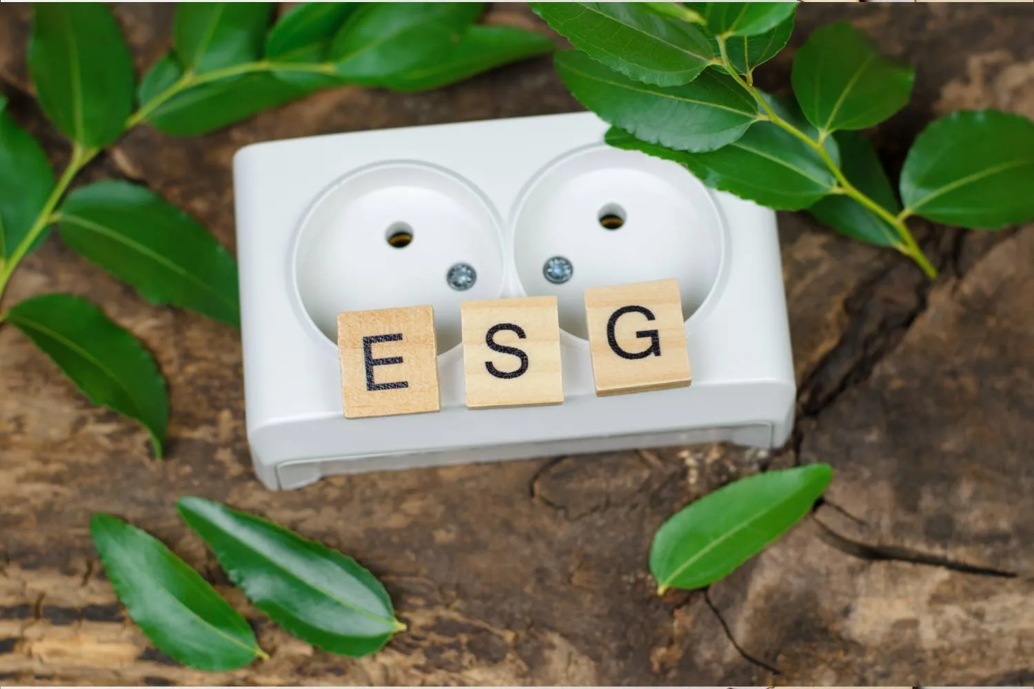 ESG Fundamental
